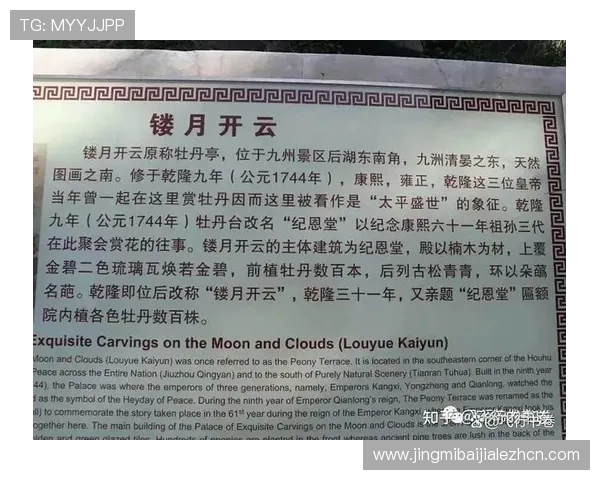 开云真人的地理归属地及其在行业中的位置，帮助玩家了解品牌背景